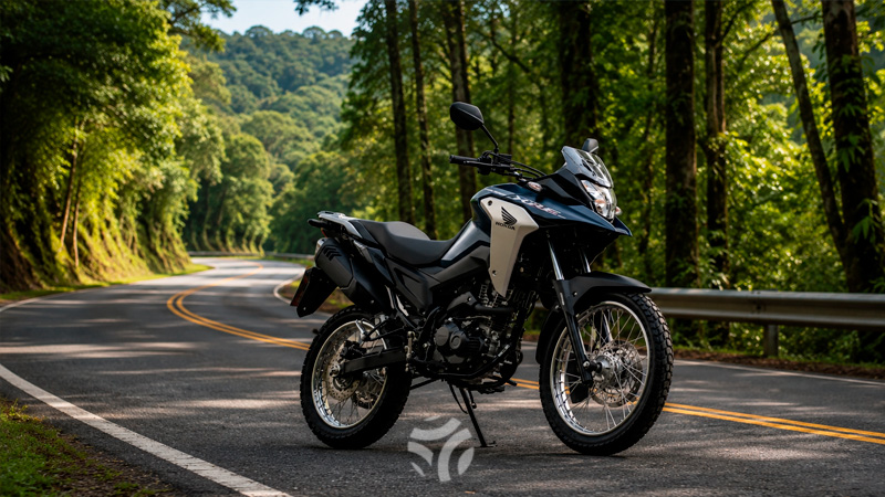Moto trail entenda o que é, quais são suas características e veja os principais modelos no Brasil