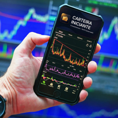 carteira de investimentos para iniciantes